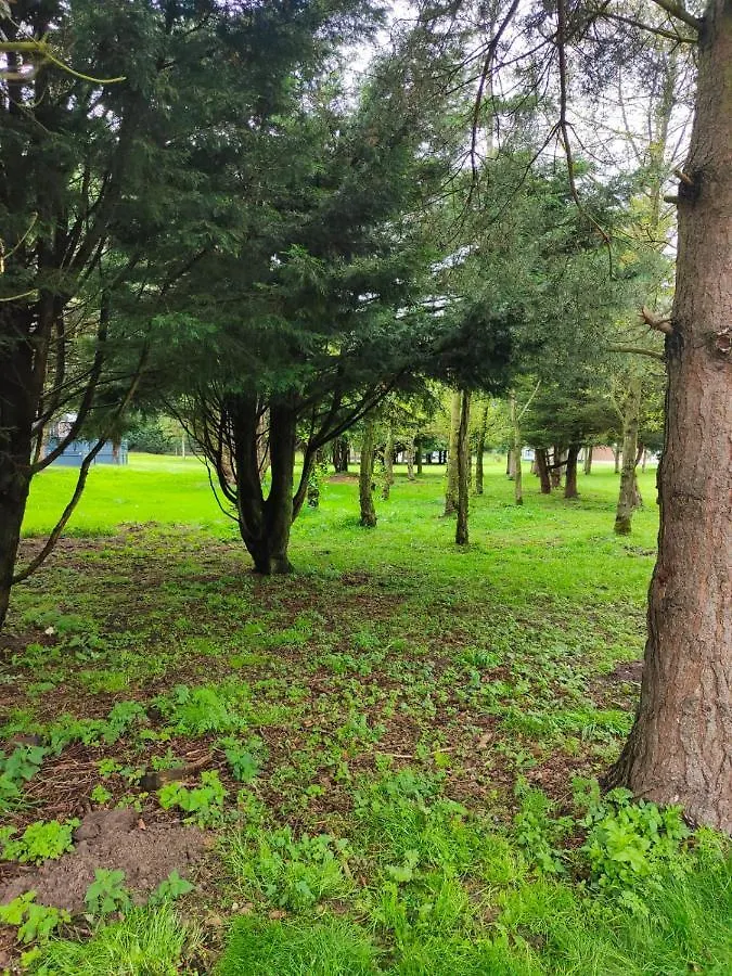 Jjs Lodge Oaktree Thornton  0*, Thornton (East Yorkshire) المملكة المتحدة